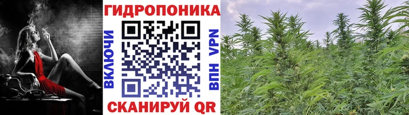 Марихуана Amnesia Белоозёрский